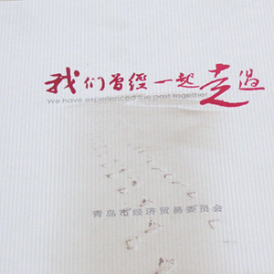 青島經(jīng)信委紀(jì)念冊